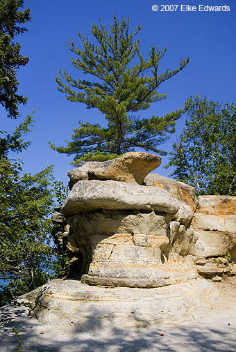 Tree-capped sandstone hoodoo along hiking trail, Pictured Rocks National Lakeshore